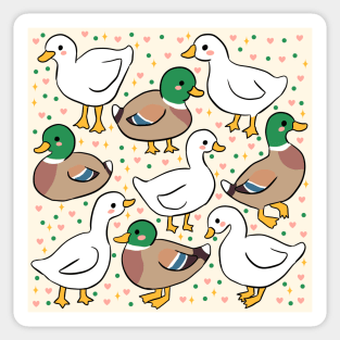 Cute little ducks Sticker